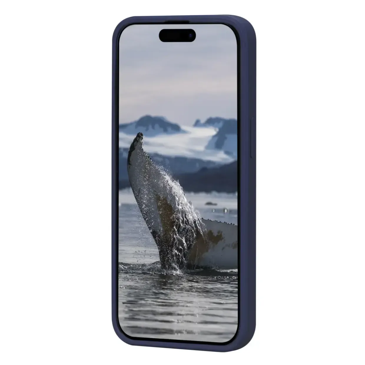 Dbramante1928 Greenland - iPhone 15 - Pacific Blue
