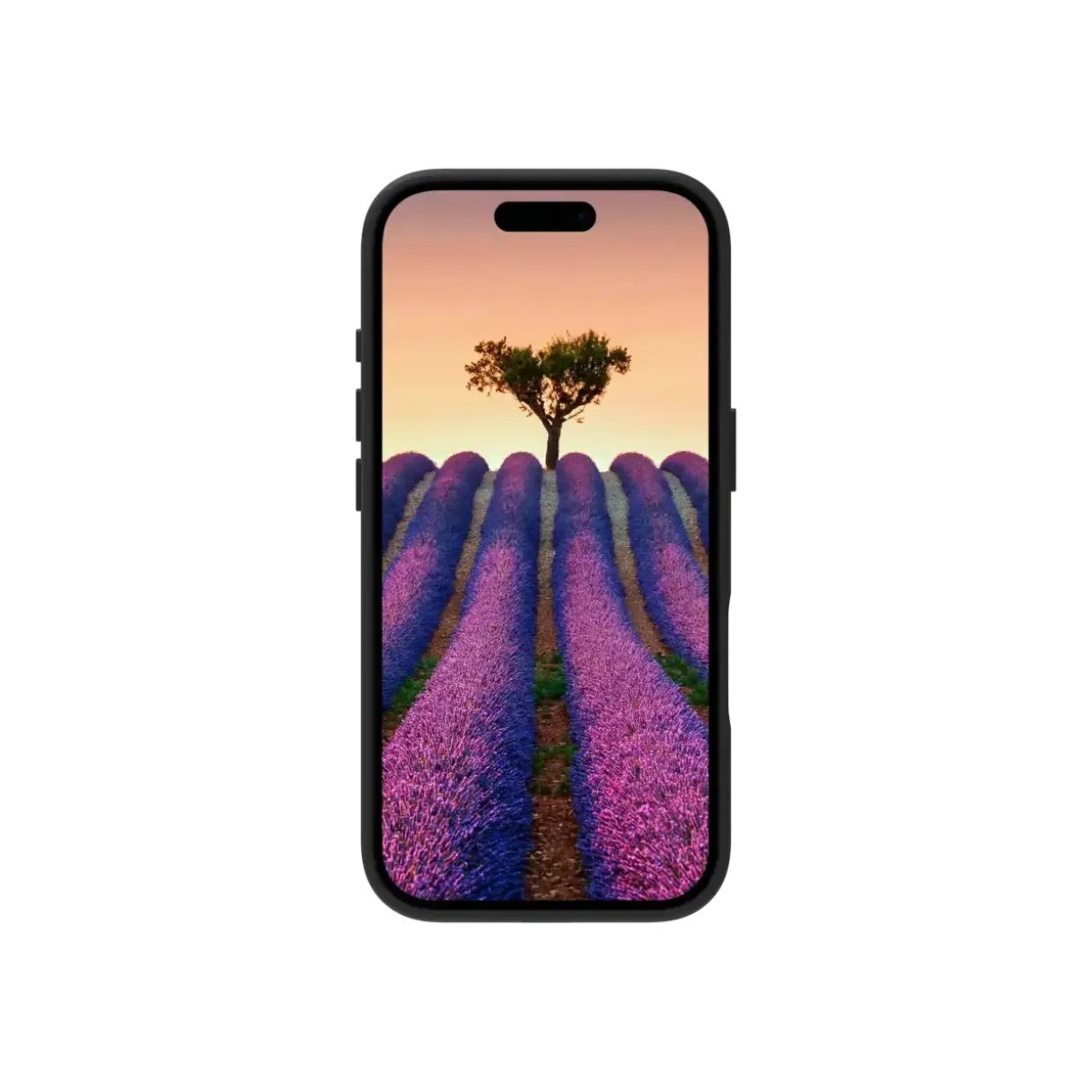 Dbramante1928 Roskilde MS - iPhone 17 - Black