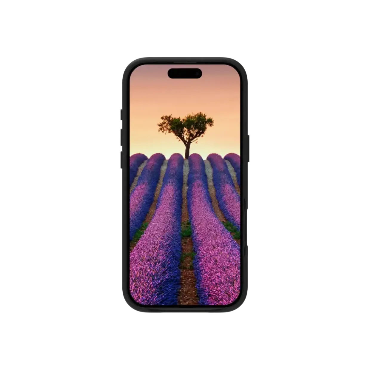 Dbramante1928 Roskilde MS - iPhone 17 Air - Black