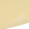 Dug, Gastro-Line, champagne, airlaid, 120cm x 2.500cm