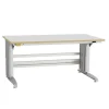 ESD-arbejdsbord Bord 400 1500x800mm grå måtte