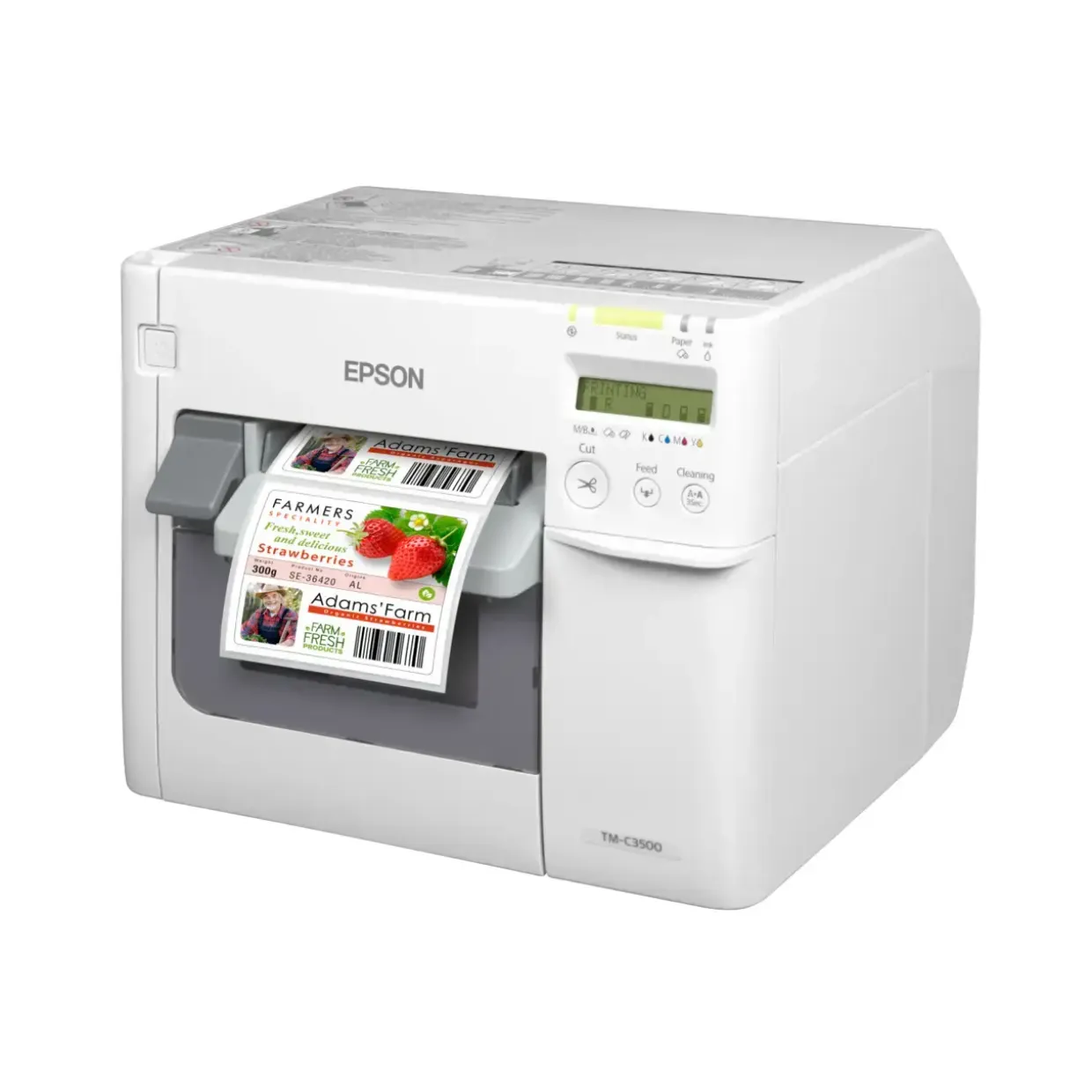 Etiket Printer Epson ColorWorks C3500 (012CD) incl. NiceLabel CD