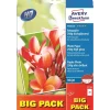 Fotopapir A4 Premium - 250 gram glossy til inkjet - 40 ark