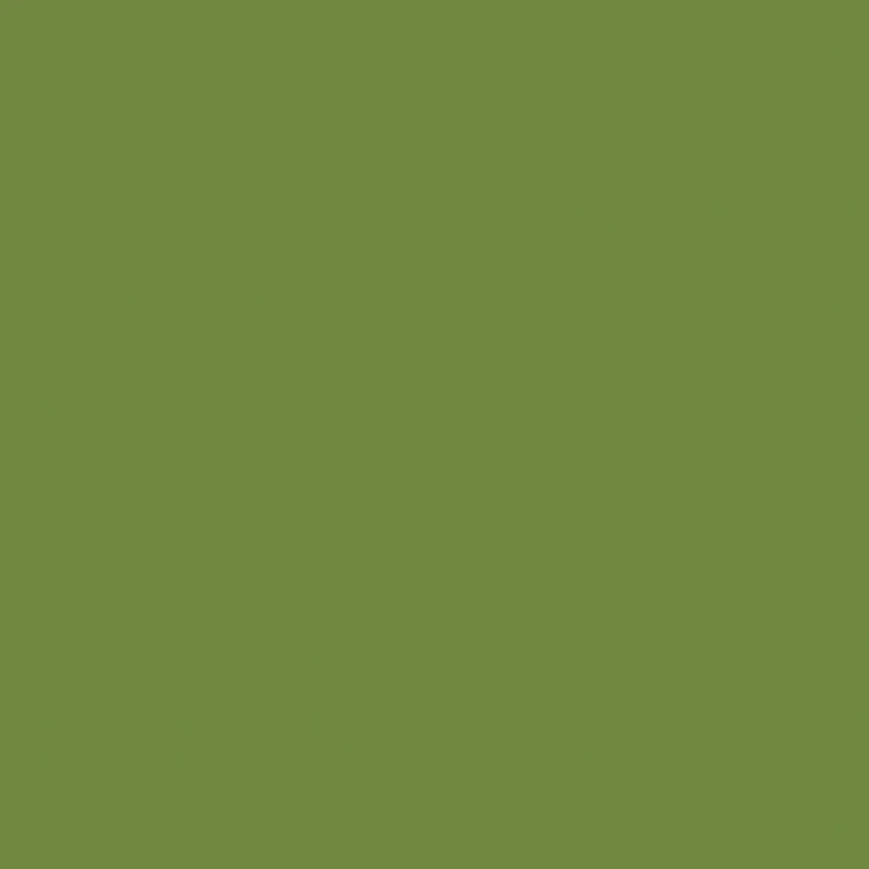 Frokostserviet, Duni, 3-lags, 1|4 fold, 33x33cm, leaf green, papir - 1000 stk