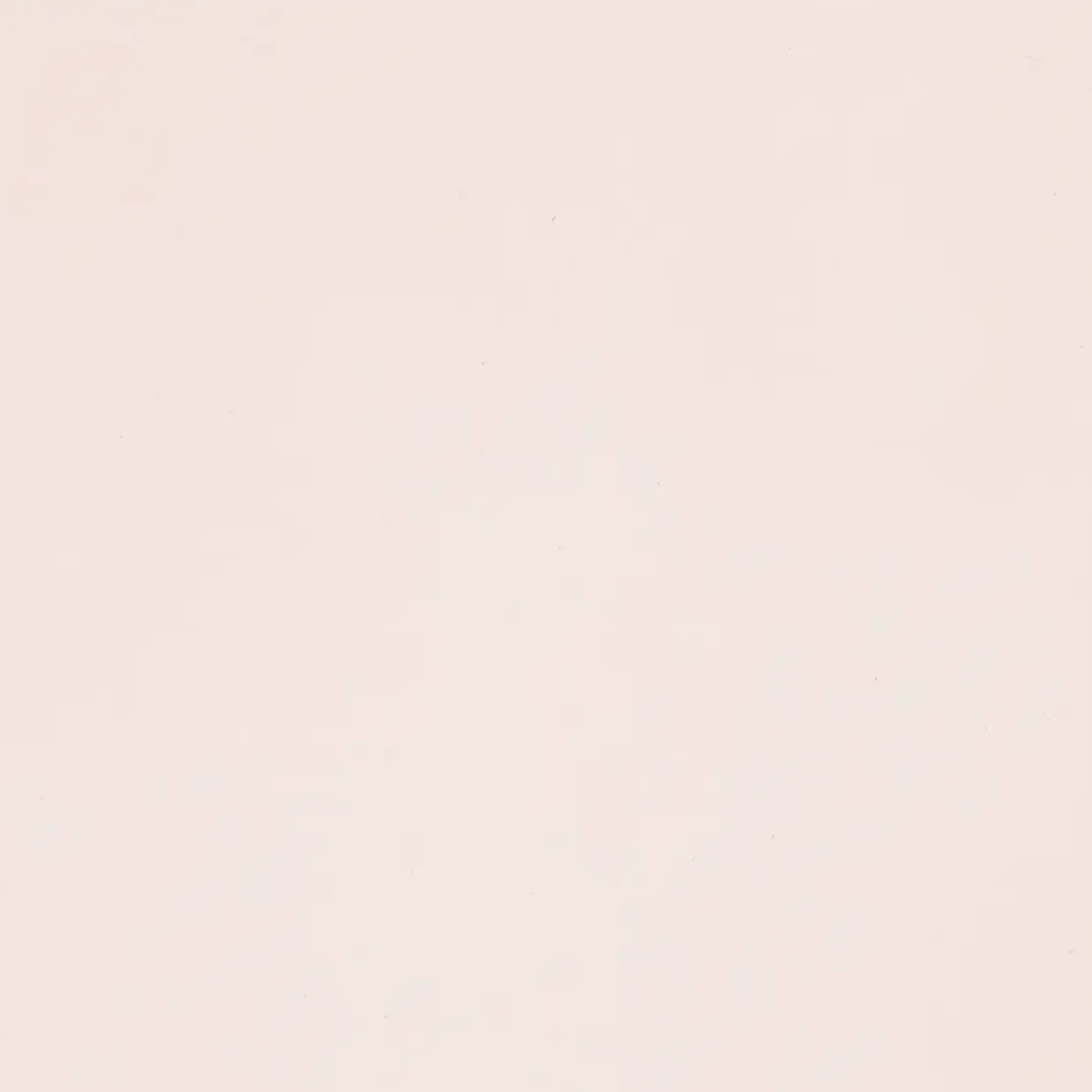 Karton – Canson Mi-Teintes – A4 – 160 g – Lily – 1 ark