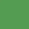 Karton - Colortime - A4 210x297 mm - 180 g - Græsgrøn - 20 ark