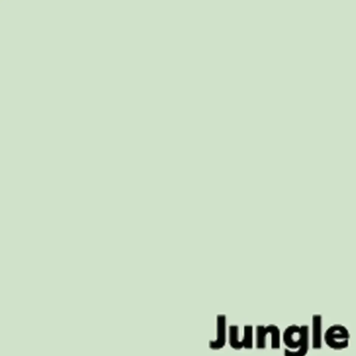 Kopipapir Image Coloraction A4 80g Jungle Pale green 500ark/pkt