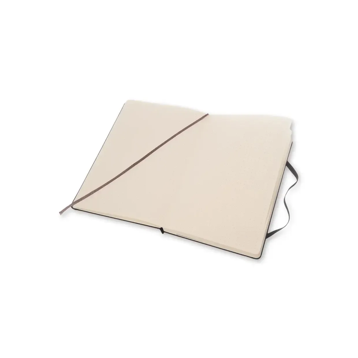 Notesbog med prikker, MOLESKINE Classic hard Large sort