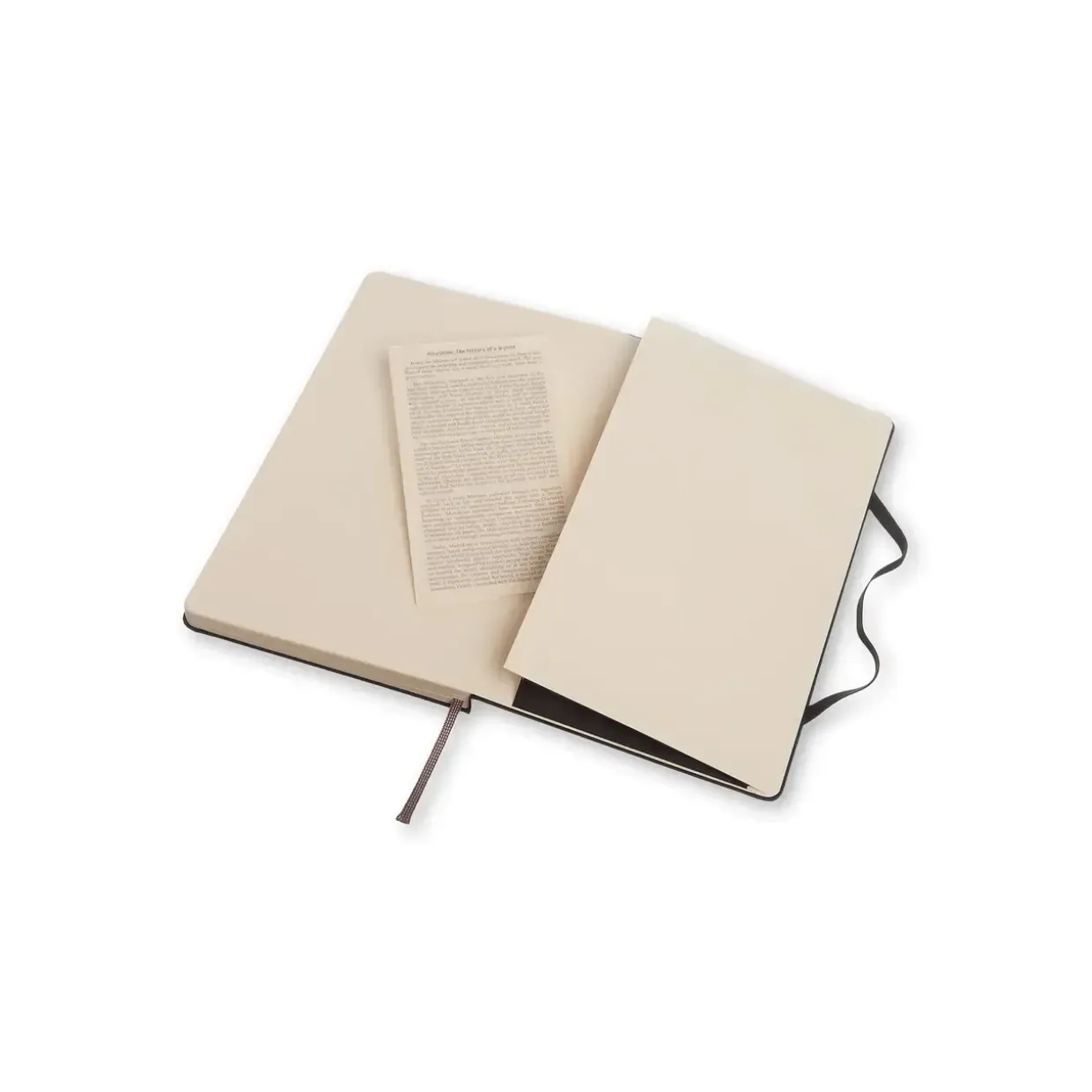 Notesbog med prikker, MOLESKINE Classic hard Large sort
