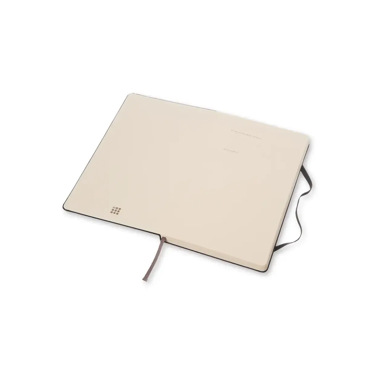 Notesbog med prikker, MOLESKINE Classic hard Large sort