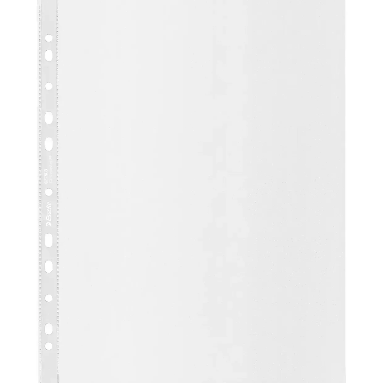Plastlommer A4 Maxi Esselte recycled 100my PP præg (100)