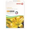 Printerpapir Xerox Colotech+ Gold 250g A4 - 250 ark