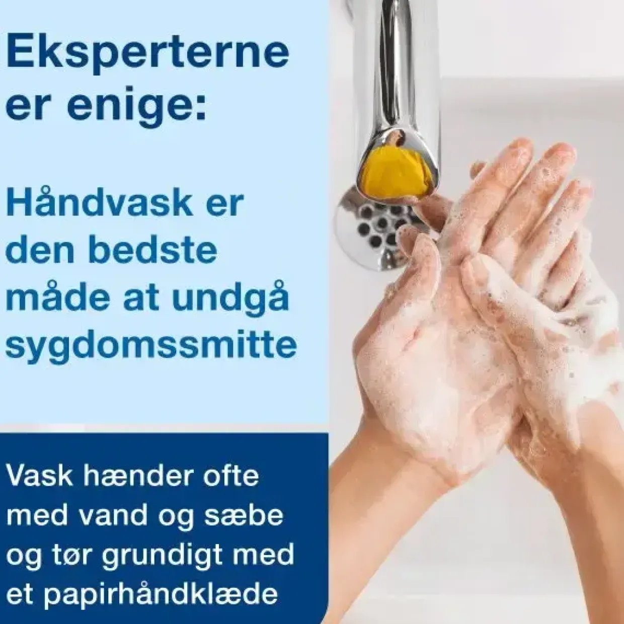 Sæbe Tork 420502 Premium Mild S2 Mini hvid - 8 flasker á 475 ml