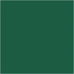 Serviet Bio Dunisoft 40x40cm mørkegrøn - 6 pk x 60 stk/krt