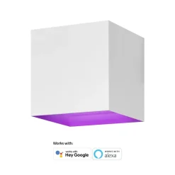 Udendørs væglampe Hombli Smart V2 White
