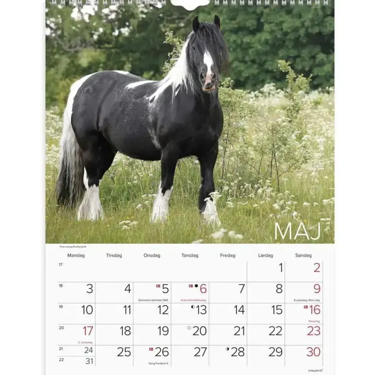 Vægkalender - Heste - 295x394mm - Spiral - 2027 - Mayland - 27066310