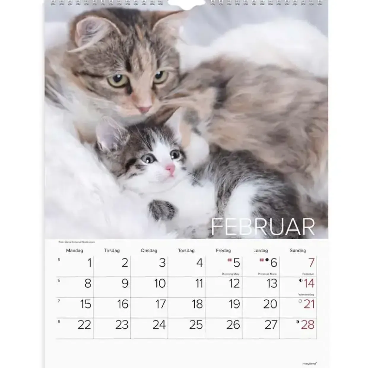 Vægkalender - Katte - 295x394mm - Spiral - 2027 - Mayland - 27066300